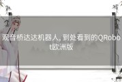 观音桥达达机器人, 到处看到的QRobot欧洲版