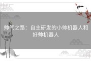 帅气之路：自主研发的小帅机器人和好帅机器人