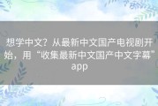 想学中文？从最新中文国产电视剧开始，用“收集最新中文国产中文字幕”app