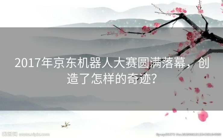 2017年京东机器人大赛圆满落幕，创造了怎样的奇迹？