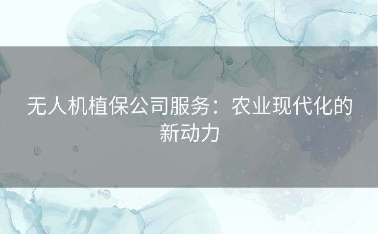 无人机植保公司服务:农业现代化的新动力 无人机植保公司服务:农业现代化的新动力