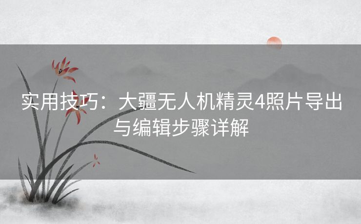 实用技巧:大疆无人机精灵4照片导出与编辑步骤详解 实用技巧:大疆无人机精灵4照片导出与编辑步骤详解