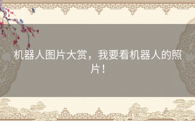 机器人图片大赏,我要看机器人的照片! 机器人图片大赏,我要看机器人的照片!