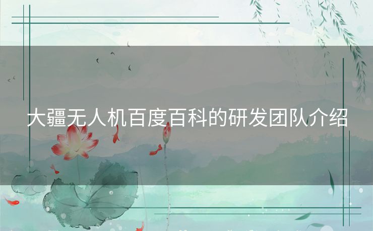 大疆无人机百度百科的研发团队介绍 大疆无人机百度百科的研发团队介绍