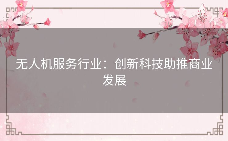 无人机服务行业:创新科技助推商业发展 无人机服务行业:创新科技助推商业发展