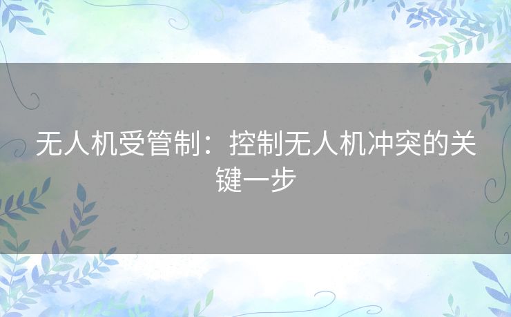 无人机受管制:控制无人机冲突的关键一步 无人机受管制:控制无人机冲突的关键一步