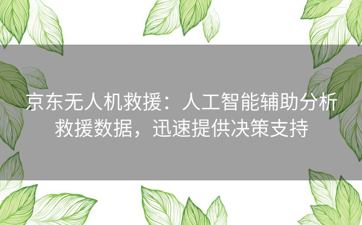 京东无人机救援:人工智能辅助分析救援数据,迅速提供决策支持 京东无人机救援:人工智能辅助分析救援数据,迅速提供决策支持