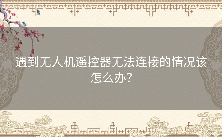 遇到无人机遥控器无法连接的情况该怎么办? 遇到无人机遥控器无法连接的情况该怎么办?