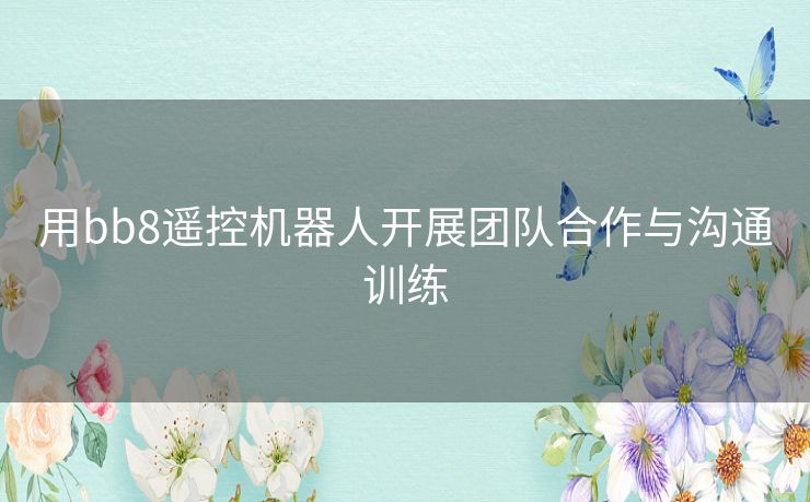 用bb8遥控机器人开展团队合作与沟通训练 用bb8遥控机器人开展团队合作与沟通训练