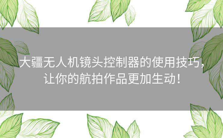 大疆无人机镜头控制器的使用技巧,让你的航拍作品更加生动! 大疆无人机镜头控制器的使用技巧,让你的航拍作品更加生动!