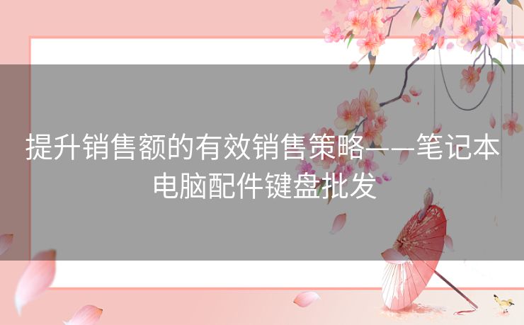 提升销售额的有效销售策略——笔记本电脑配件键盘批发