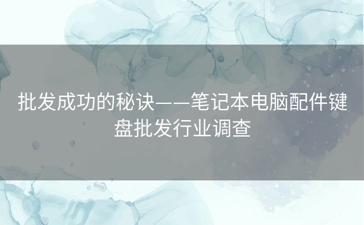 批发成功的秘诀——笔记本电脑配件键盘批发行业调查