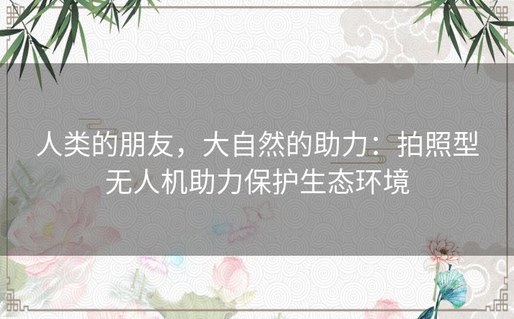 人类的朋友,大自然的助力:拍照型无人机助力保护生态环境 人类的朋友,大自然的助力:拍照型无人机助力保护生态环境