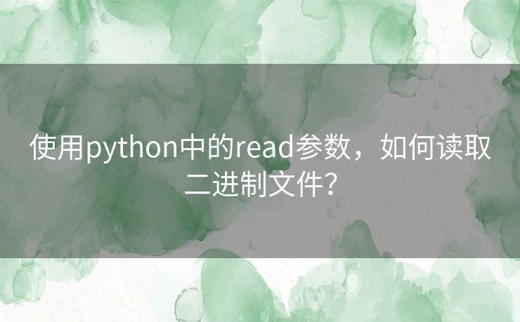 使用python中的read参数，如何读取二进制文件？