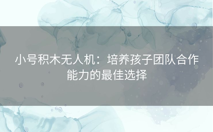小号积木无人机:培养孩子团队合作能力的最佳选择 小号积木无人机:培养孩子团队合作能力的最佳选择