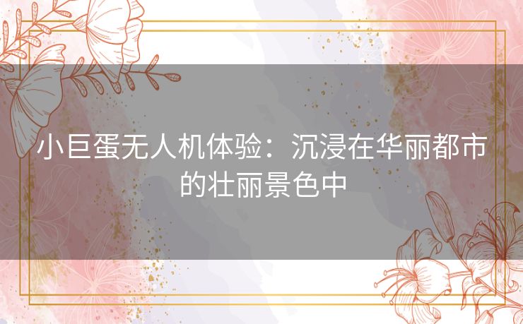 小巨蛋无人机体验:沉浸在华丽都市的壮丽景色中 小巨蛋无人机体验:沉浸在华丽都市的壮丽景色中