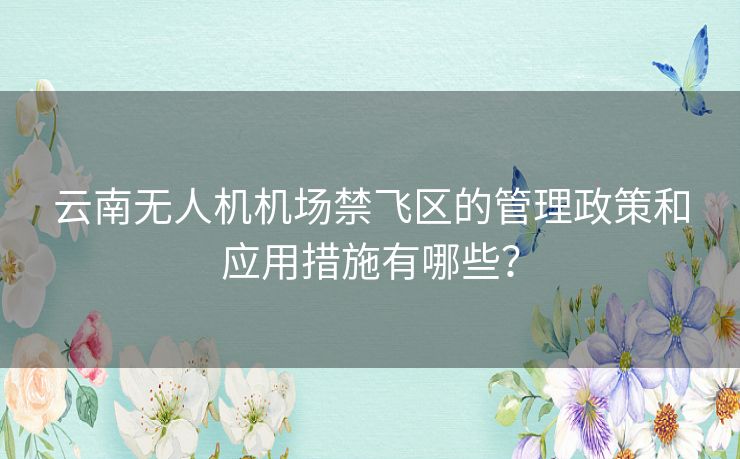 云南无人机机场禁飞区的管理政策和应用措施有哪些? 云南无人机机场禁飞区的管理政策和应用措施有哪些?
