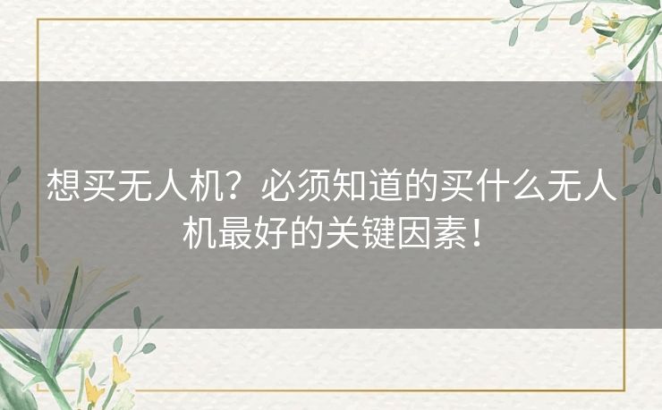想买无人机?必须知道的买什么无人机最好的关键因素! 想买无人机?必须知道的买什么无人机最好的关键因素!