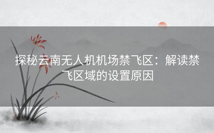 探秘云南无人机机场禁飞区:解读禁飞区域的设置原因 探秘云南无人机机场禁飞区:解读禁飞区域的设置原因