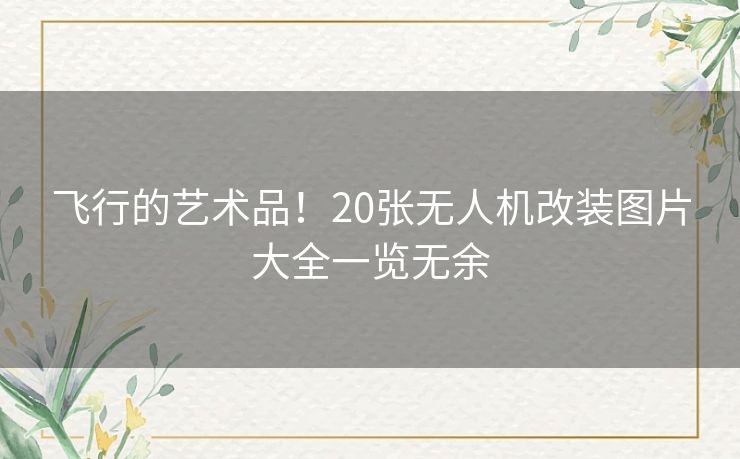 飞行的艺术品！20张无人机改装图片大全一览无余