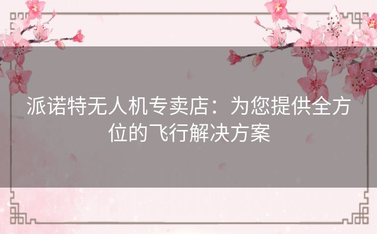 派诺特无人机专卖店:为您提供全方位的飞行解决方案 派诺特无人机专卖店:为您提供全方位的飞行解决方案