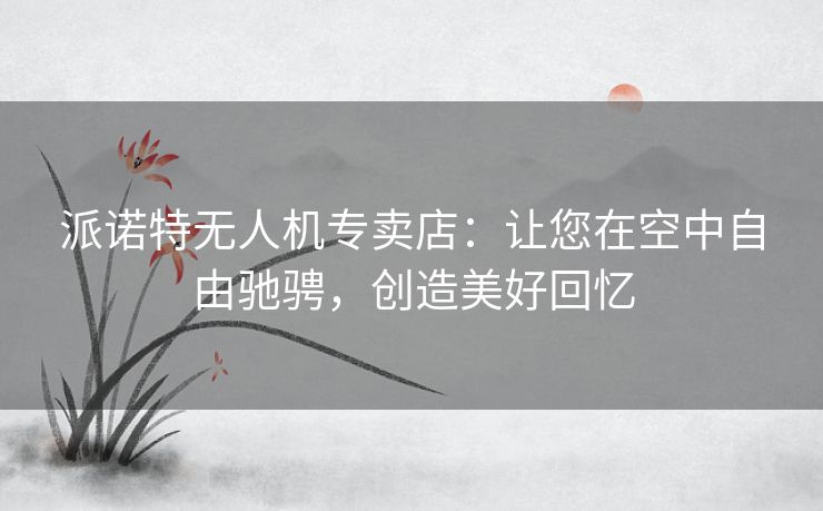 派诺特无人机专卖店:让您在空中自由驰骋,创造美好回忆 派诺特无人机专卖店:让您在空中自由驰骋,创造美好回忆
