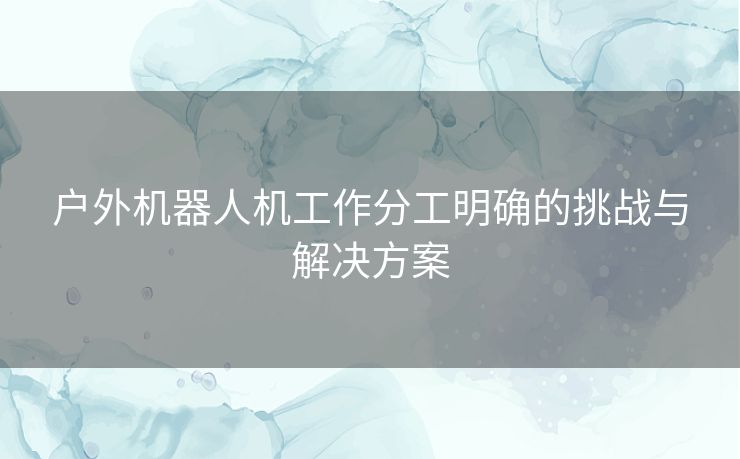 户外机器人机工作分工明确的挑战与解决方案 户外机器人机工作分工明确的挑战与解决方案