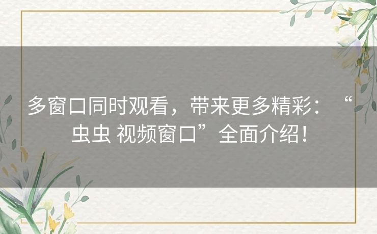 多窗口同时观看，带来更多精彩：“虫虫 视频窗口”全面介绍！