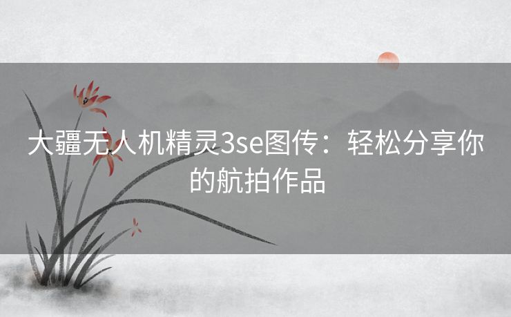 大疆无人机精灵3se图传:轻松分享你的航拍作品 大疆无人机精灵3se图传:轻松分享你的航拍作品
