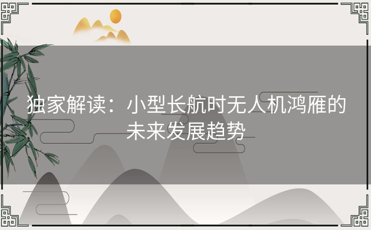 独家解读:小型长航时无人机鸿雁的未来发展趋势 独家解读:小型长航时无人机鸿雁的未来发展趋势