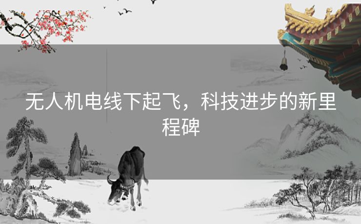 无人机电线下起飞,科技进步的新里程碑 无人机电线下起飞,科技进步的新里程碑