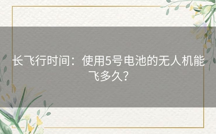长飞行时间:使用5号电池的无人机能飞多久? 长飞行时间:使用5号电池的无人机能飞多久?