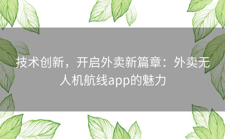 技术创新,开启外卖新篇章:外卖无人机航线app的魅力 技术创新,开启外卖新篇章:外卖无人机航线app的魅力