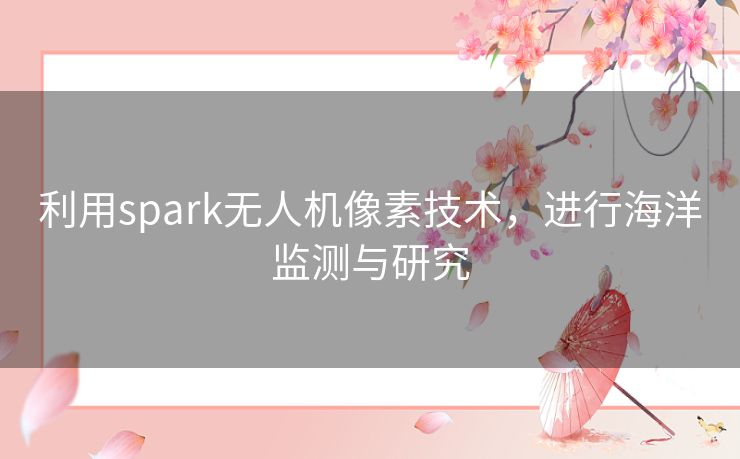 利用spark无人机像素技术,进行海洋监测与研究 利用spark无人机像素技术,进行海洋监测与研究