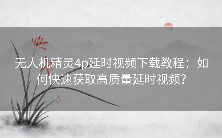 无人机精灵4p延时视频下载教程：如何快速获取高质量延时视频？