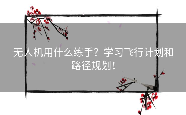 无人机用什么练手?学习飞行计划和路径规划! 无人机用什么练手?学习飞行计划和路径规划!