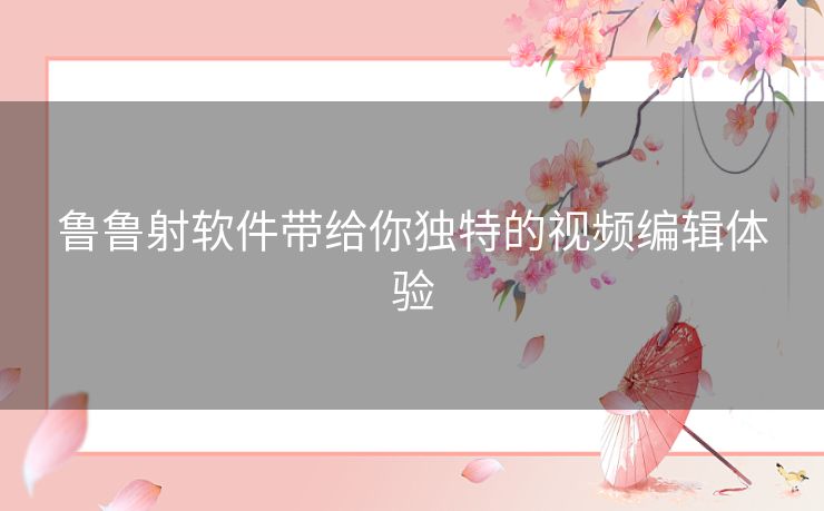 鲁鲁射软件带给你独特的视频编辑体验