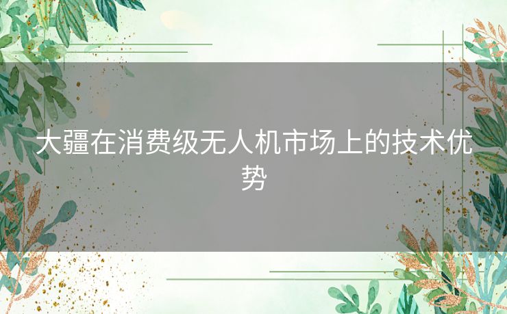 大疆在消费级无人机市场上的技术优势