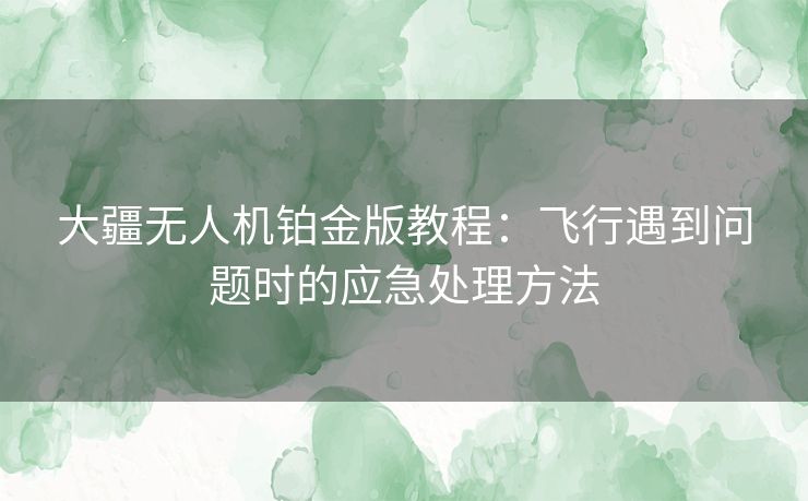 大疆无人机铂金版教程:飞行遇到问题时的应急处理方法 大疆无人机铂金版教程:飞行遇到问题时的应急处理方法