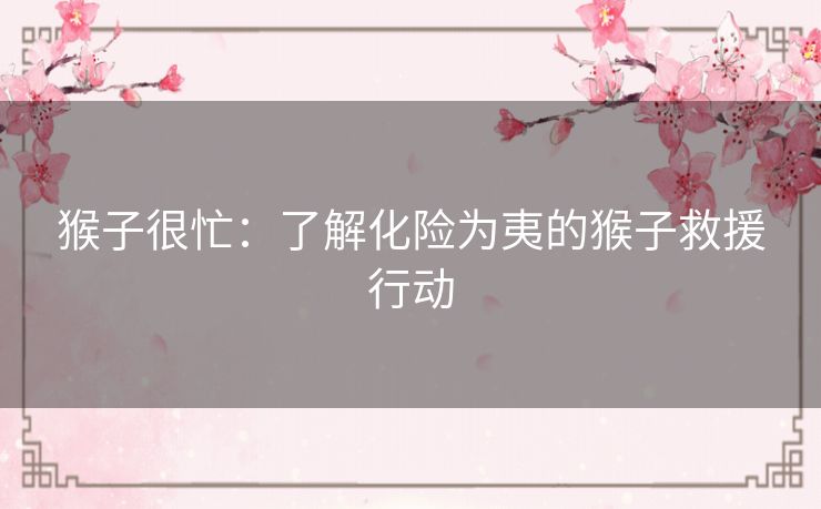 猴子很忙：了解化险为夷的猴子救援行动