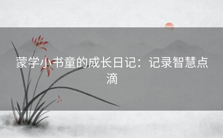 蒙学小书童的成长日记：记录智慧点滴