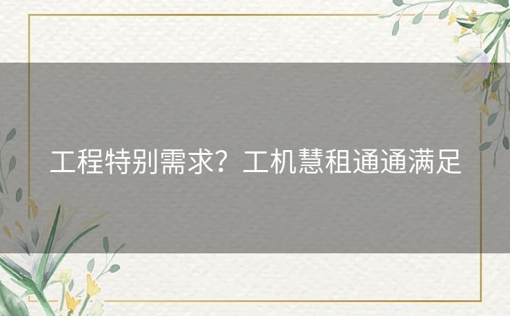 工程特别需求?工机慧租通通满足 工程特别需求?工机慧租通通满足
