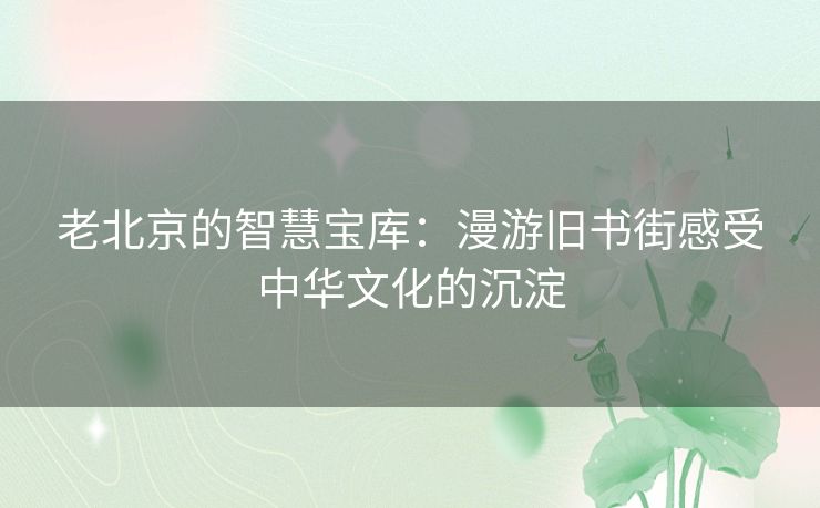 老北京的智慧宝库:漫游旧书街感受中华文化的沉淀 老北京的智慧宝库:漫游旧书街感受中华文化的沉淀