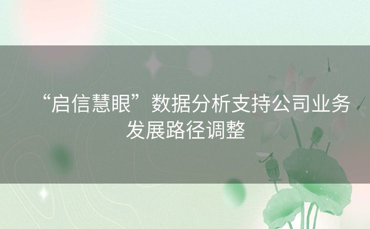 “启信慧眼”数据分析支持公司业务发展路径调整