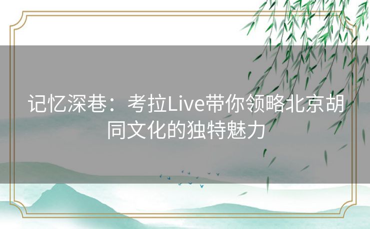 记忆深巷:考拉Live带你领略北京胡同文化的独特魅力 记忆深巷:考拉Live带你领略北京胡同文化的独特魅力