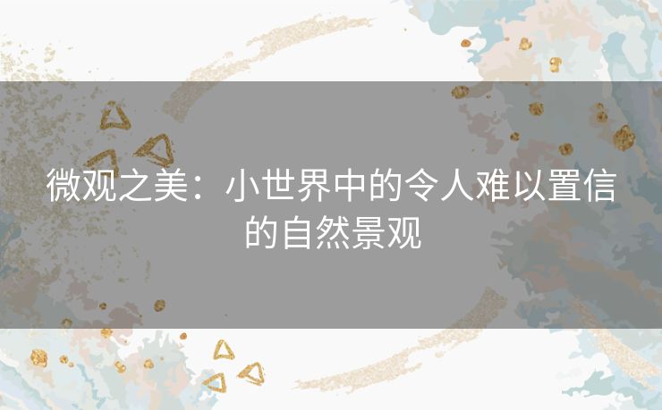 微观之美:小世界中的令人难以置信的自然景观 微观之美:小世界中的令人难以置信的自然景观