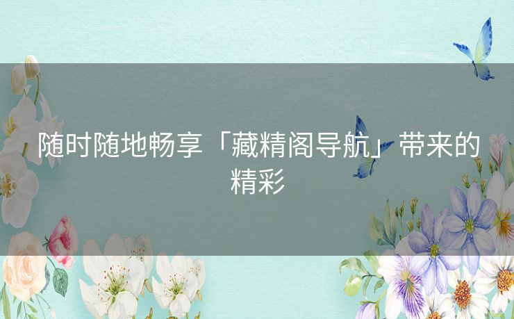 随时随地畅享「藏精阁导航」带来的精彩 随时随地畅享「藏精阁导航」带来的精彩