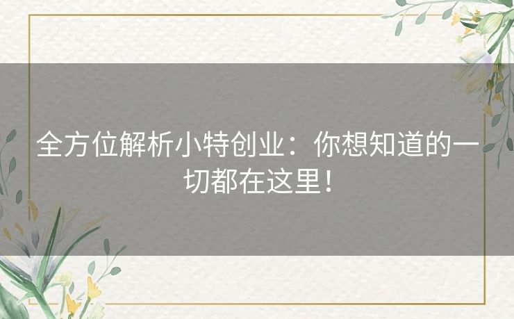 全方位解析小特创业:你想知道的一切都在这里! 全方位解析小特创业:你想知道的一切都在这里!