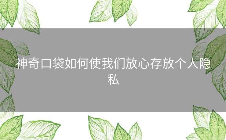 神奇口袋如何使我们放心存放个人隐私 神奇口袋如何使我们放心存放个人隐私