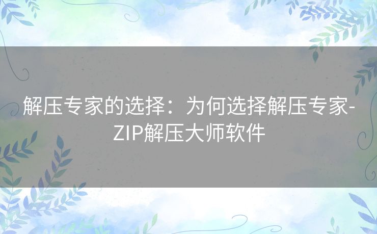 解压专家的选择:为何选择解压专家-ZIP解压大师软件 解压专家的选择:为何选择解压专家-ZIP解压大师软件